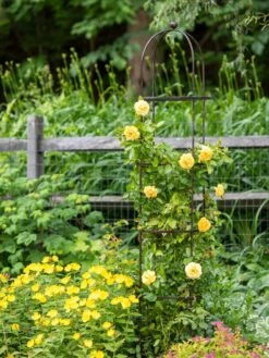 Jardin Round Obelisk, 7' -Garden Care Supplies 39 530 1668 tif