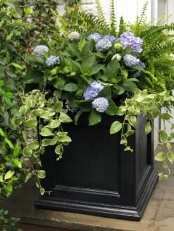 Fairfield Self-Watering Square Planter, 20” X 20” -Garden Care Supplies 39 618 205V tif