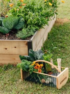 Garden Hods 10 Garden Hods -Garden Care Supplies 39 761 572 tif