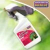 Bonide® Japanese Beetle Killer