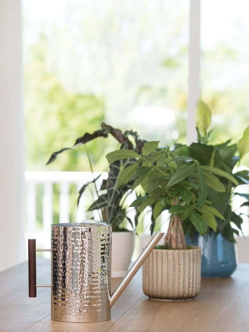 Stainless Steel Watering Can 4 Stainless Steel Watering Can - Image 2