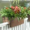Self-Watering Railing Planter