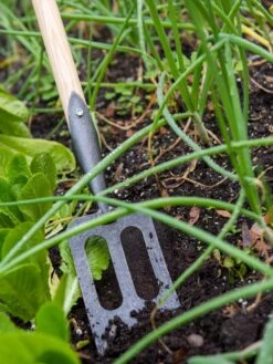 Gardener's Lifetime Spork -Garden Care Supplies 8586973 2383 tif