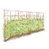 Expandable Pea Trellis -Garden Care Supplies 8587061 PeaFence Red 001E tif