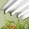 High Intensity Light Fixture 2 High Intensity Light Fixture -Garden Care Supplies 8587079 027 tif