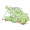 Large Cucumber Trellis -Garden Care Supplies 8587082 CukeTrellis L Blk 001E tif
