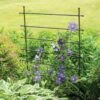 Jardin Ladder Trellis 1 Jardin Ladder Trellis -Garden Care Supplies 8587107 1651 tif
