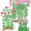 Grow Through Supports, Set Of 3 -Garden Care Supplies 8587111RS 001E 1