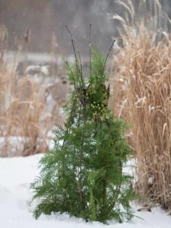 Jardin Pot Trellis 11 Jardin Pot Trellis -Garden Care Supplies 8587120 009 tif