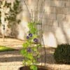 Jardin Pot Trellis -Garden Care Supplies 8587120 224 tif
