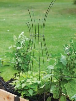 Jardin Pot Trellis 10 Jardin Pot Trellis -Garden Care Supplies 8587120 7037 tif