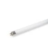 T5 Replacement Bulb -Garden Care Supplies 8587296 156 tif