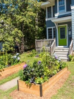 Zenith Folding Garden Supports, Set Of 2 16 Zenith Folding Garden Supports, Set Of 2 -Garden Care Supplies 8587807 0801 tif