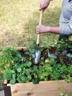 Gardener's Lifetime Raised Bed Trowel -Garden Care Supplies 8588014 4084 tif