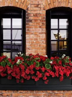 Fairfield Self-Watering Window Box, 5’ -Garden Care Supplies 8588938 102V tif