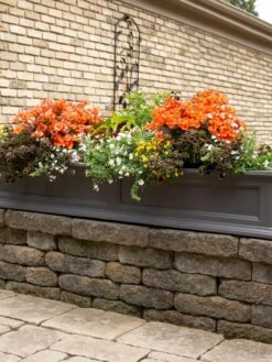 Fairfield Self-Watering Window Box, 5’ -Garden Care Supplies 8588938 105V tif