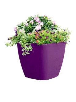 Viva Square Self-Watering Rolling Planter, 17.5" Diameter -Garden Care Supplies 8589778PR 6126 tif