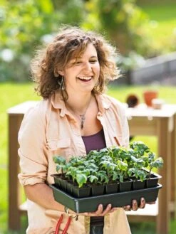 Growease Seed Starter Kit -Garden Care Supplies 8589987 0446 tif