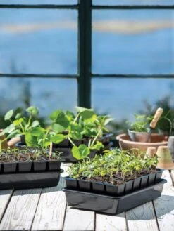 Growease Seed Starter Kit -Garden Care Supplies 8589987 7871 tif