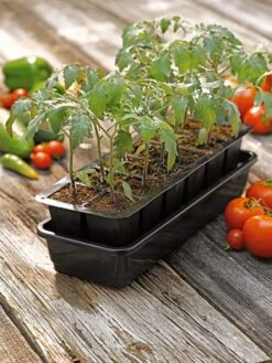 Growease Seed Starter Kit -Garden Care Supplies 8589988 1056 tif