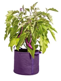 Gardener's Best® Universal Grow Bag -Garden Care Supplies 8590024PR 214 tif