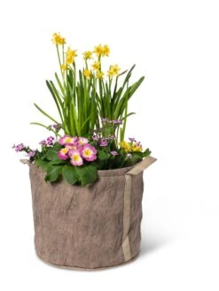 Gardener's Best® Universal Grow Bag -Garden Care Supplies 8590024 7307 tif