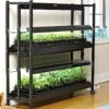 2-Tier SunLite® Garden -Garden Care Supplies 8590049 2489 grow lights with two shelves large tif