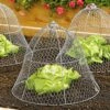 Chicken Wire Cloche