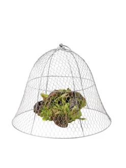 Chicken Wire Cloche -Garden Care Supplies 8590210 675 tif