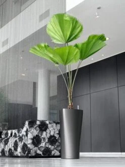 Lechuza® Delta Premium Self-Watering Planters -Garden Care Supplies 8590299 02V tif