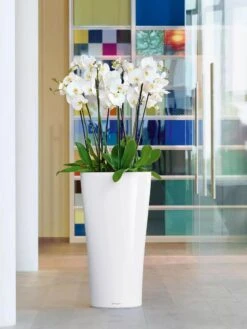 Lechuzaยฎ Delta Premium Self-Watering Planters