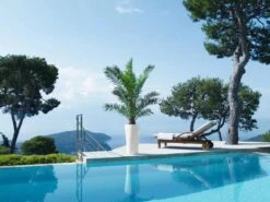 Lechuza® Delta Premium Self-Watering Planters -Garden Care Supplies 8590299 04V tif