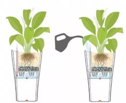 Lechuza® Delta Premium Self-Watering Planters -Garden Care Supplies 8590299 07V tif