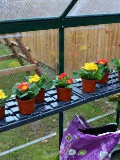 Canopia® By Palram Shelf Kit For Greenhouses, Set Of 2 Shelves -Garden Care Supplies 8591033 09V jpg