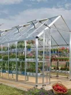 Canopia® By Palram Harmony™ Snap & Grow Greenhouse, 8' -Garden Care Supplies 8591043 02V tif