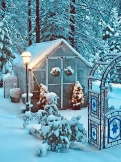 Canopia® By Palram Harmony™ Snap & Grow Greenhouse, 8' -Garden Care Supplies 8591048 06V jpg