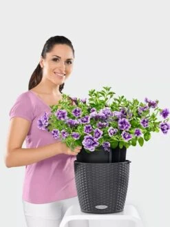 Lechuza® Nido Cottage Wicker Hanging Planter -Garden Care Supplies 8591154GT 006V tif