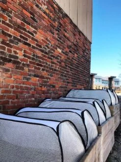 Row Shelter Accelerator 11 Row Shelter Accelerator -Garden Care Supplies 8591990 01IN tif