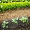3-in-1 Chicken Wire Cloche -Garden Care Supplies 8592117 5598 1 chicken wire cloche 3 in 1 tif