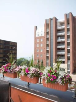 Adjustable Self-Watering Railing Planter, 24" -Garden Care Supplies 8592173TC 2383 tif