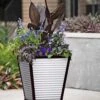 Galvanized Self-Watering Planters -Garden Care Supplies 8592177 5062 tif