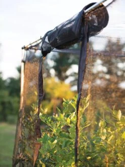 Storm Proof Crop Cage, Large -Garden Care Supplies 8592463 115 tif