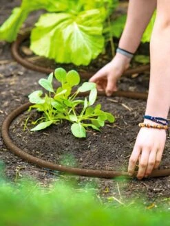 Premium 1/2" Soaker Hose