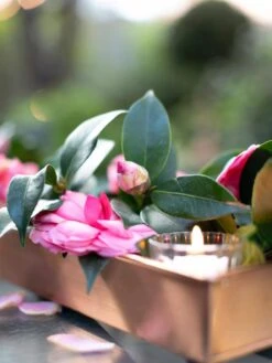 Rectangular Copper Plant Tray, 18"x4" -Garden Care Supplies 8593532 02IN tif