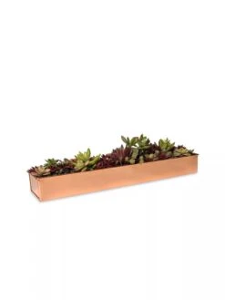 Rectangular Copper Plant Tray, 18"x4" -Garden Care Supplies 8593532 2892 tif