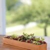 Rectangular Copper Plant Tray, 18"x4" -Garden Care Supplies 8593532 4632 tif