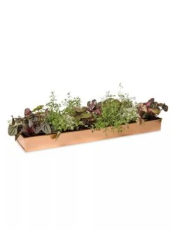 Rectangular Copper Plant Tray, 24" X 5" -Garden Care Supplies 8593533 2878 tif
