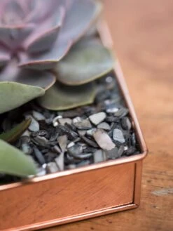 Rectangular Copper Plant Tray, 24" X 5" -Garden Care Supplies 8593533 4570 tif