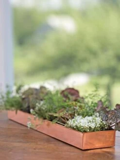 Rectangular Copper Plant Tray, 24" X 5" -Garden Care Supplies 8593533 4626 tif