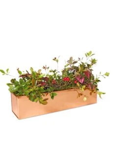 Tall Rectangular Copper Plant Tray, 18" X 5" X 4" -Garden Care Supplies 8593534 2899 tif
